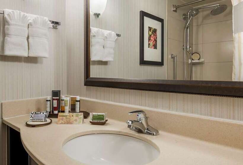 اتاق لوکس با تخت بزرگ, Hilton Antwerp Old Town