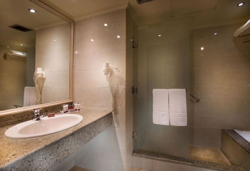اتاق استاندارد, Pyramisa Suites Hotel Cairo