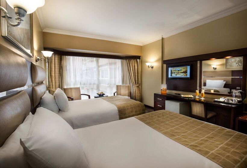اتاق استاندارد, Pyramisa Suites Hotel Cairo
