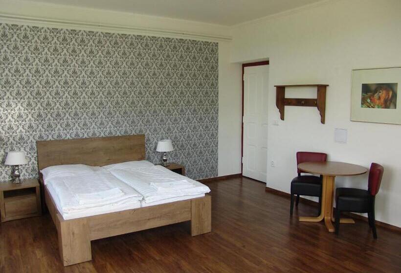 Номер Стандарт Кровать Кинг Адаптированный для Инвалидов, Retro Hotel Pod Zvičinou