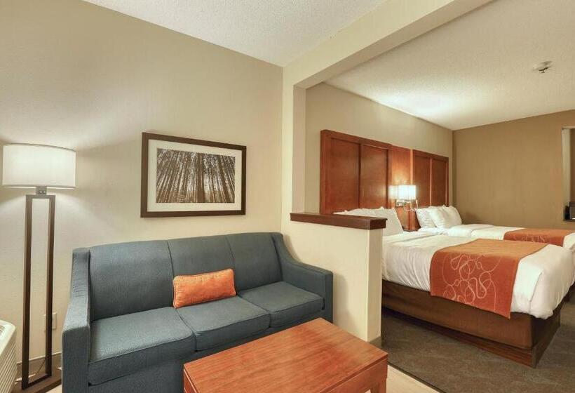 Люкс Вид на Бассейн, Comfort Suites Appleton Airport