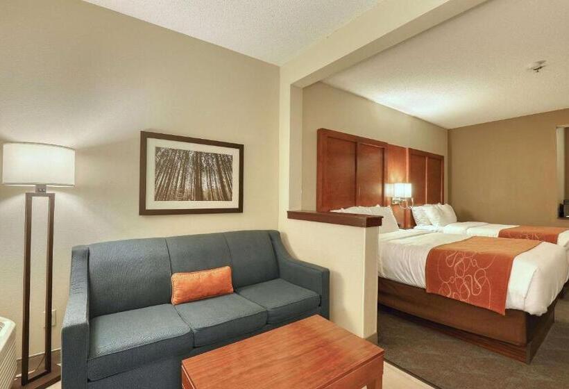 Люкс Вид на Бассейн, Comfort Suites Appleton Airport