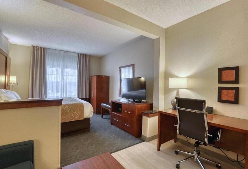 Люкс Кровать Кинг, Comfort Suites Appleton Airport