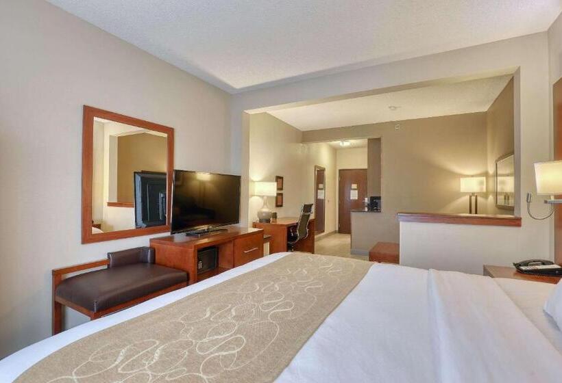 Люкс Кровать Кинг, Comfort Suites Appleton Airport