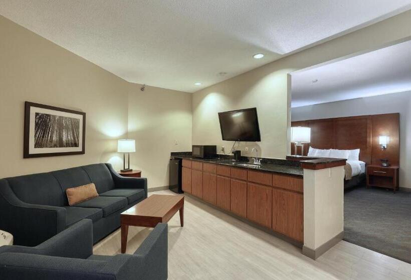 Люкс Executive Кровать Кинг, Comfort Suites Appleton Airport