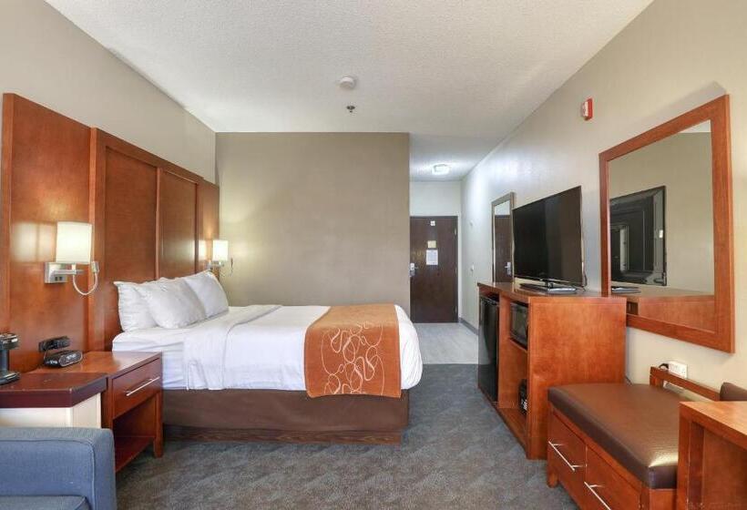 Люкс Адаптированный для Инвалидов, Comfort Suites Appleton Airport
