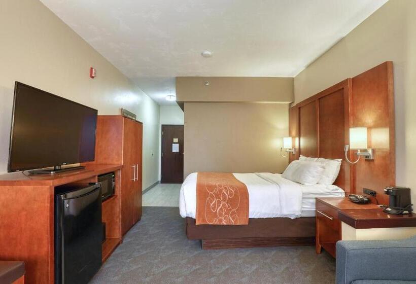 Люкс Адаптированный для Инвалидов, Comfort Suites Appleton Airport