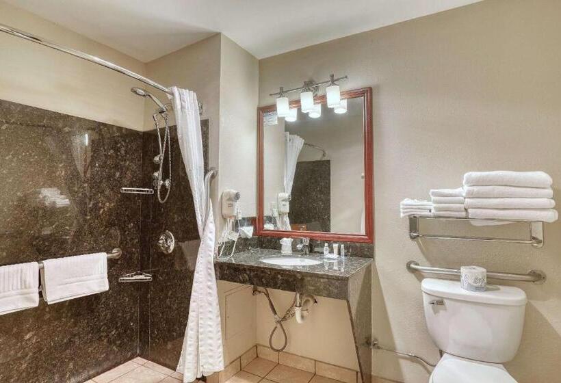 Люкс Адаптированный для Инвалидов, Comfort Suites Appleton Airport