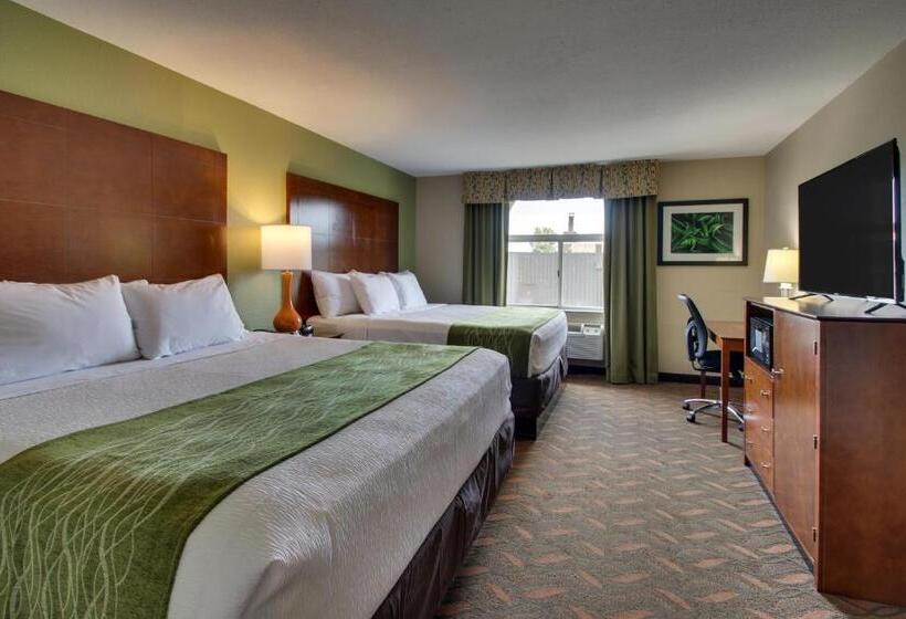 스탠다드 룸, Wingfield Inn & Suites