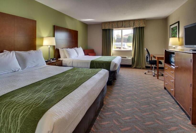 스탠다드 룸, Wingfield Inn & Suites