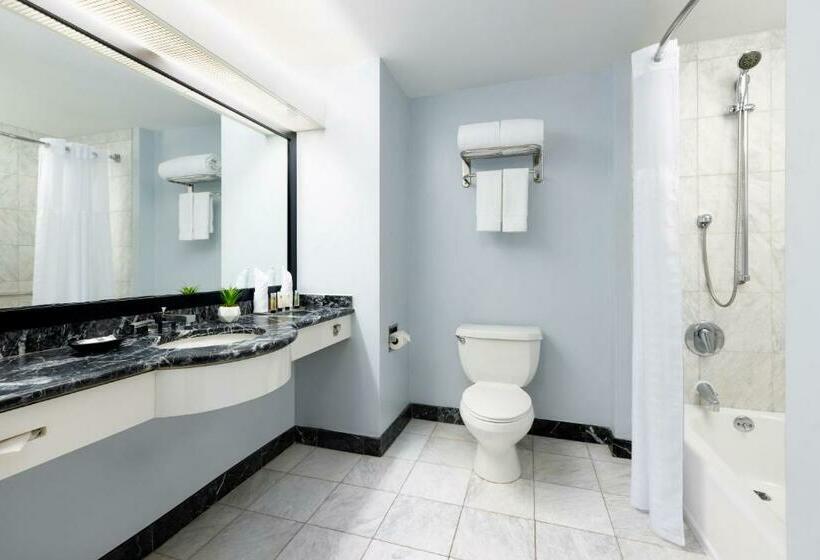 اتاق سوپریور با تخت بزرگ, Millennium Hotel Broadway Times Square