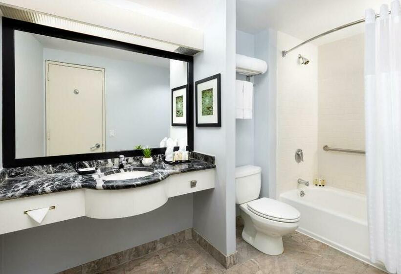 اتاق استاندارد با تخت بزرگ, Millennium Hotel Broadway Times Square