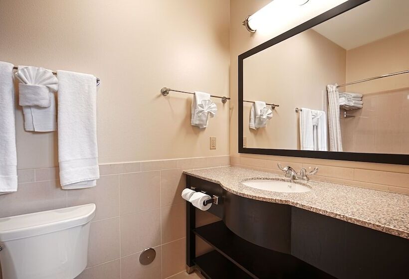 Номер Стандарт 2 Двуспальные Кровати, Best Western Pioneer