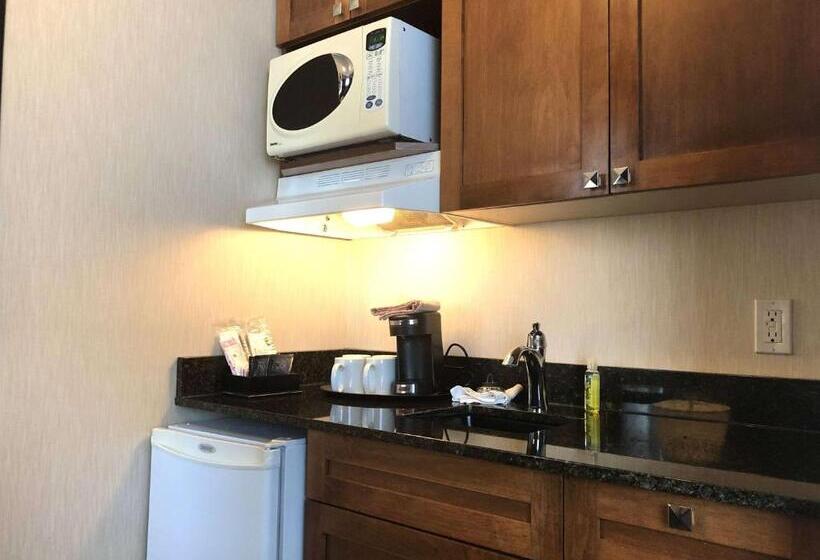 スタンダードルーム, Best Western Plus Suites Downtown Calgary