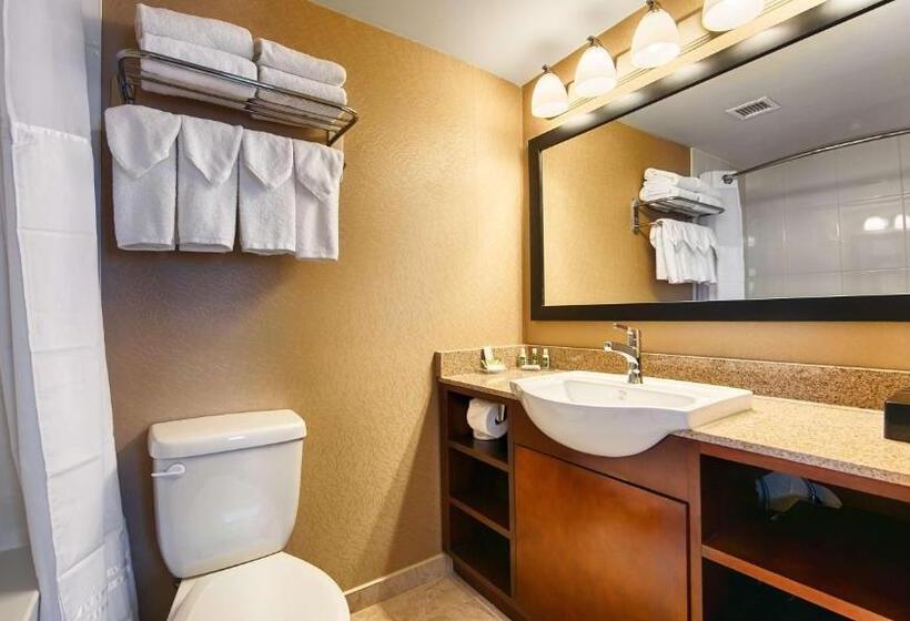１ベッドルームアパートメント, Best Western Plus Suites Downtown Calgary