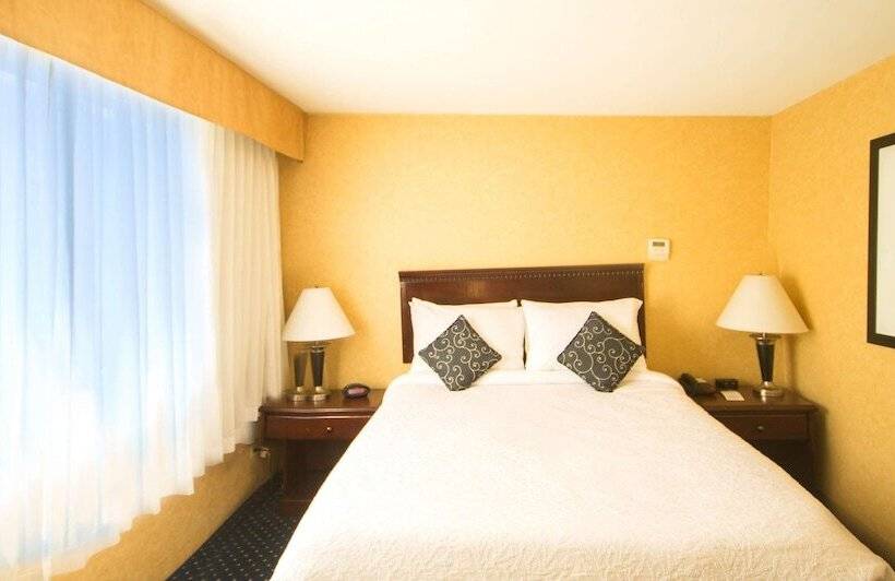 １ベッドルームアパートメント, Best Western Plus Suites Downtown Calgary