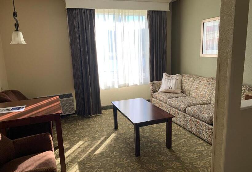 스탠다드 룸 킹사이즈 침대, Best Western Salbasgeon Inn & Suites
