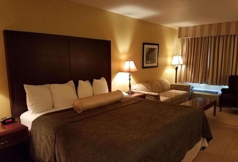 Стандартный Номер Кровать Кинг, Best Western Salbasgeon Inn & Suites