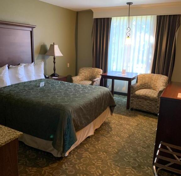 스탠다드 룸, Best Western Salbasgeon Inn & Suites