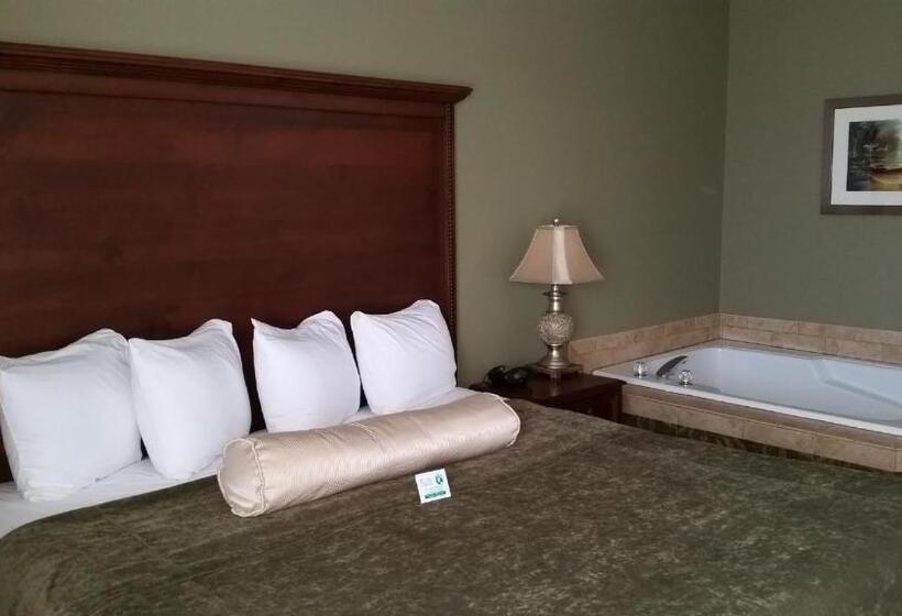 스위트, Best Western Salbasgeon Inn & Suites