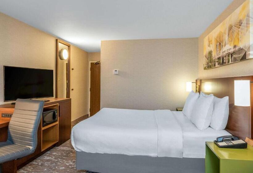 Quarto Estandar Cama King, Comfort Inn Airport