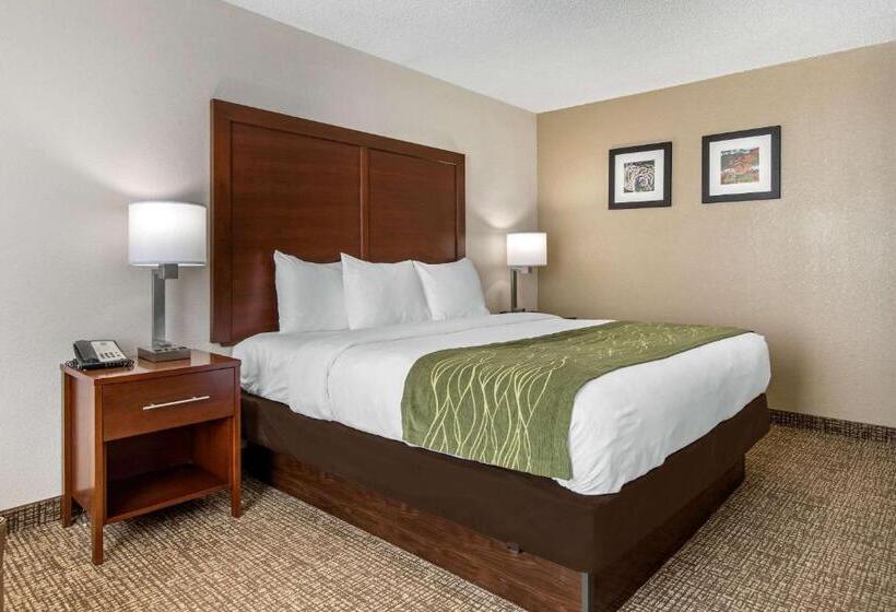 스탠다드 룸 킹사이즈 침대, Comfort Inn