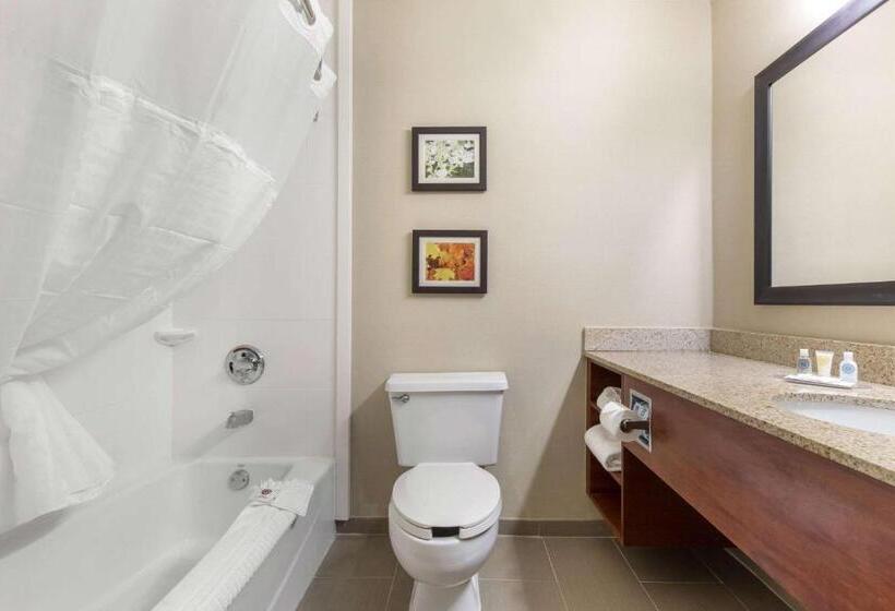 스탠다드 룸, Comfort Inn