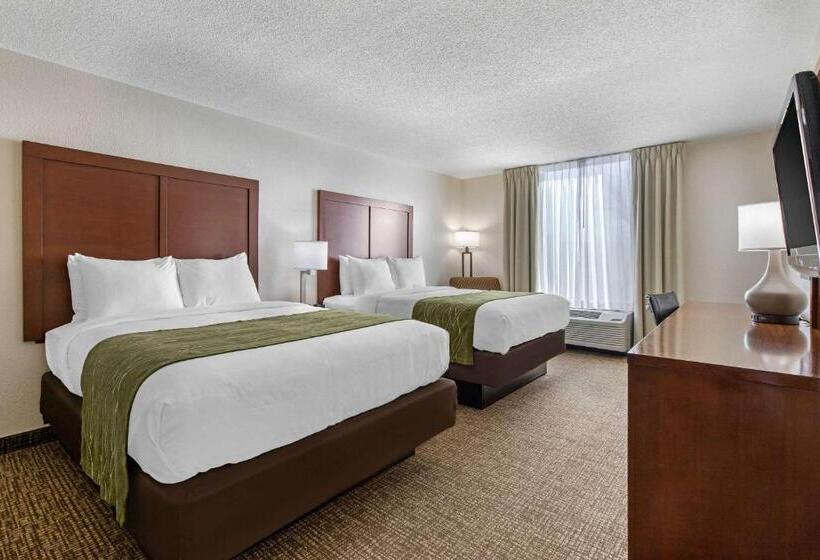 스탠다드 룸, Comfort Inn