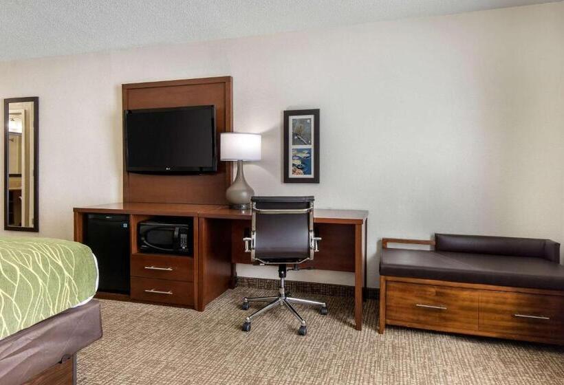 장애인을 위한 킹사이즈 침대 스탠다드 룸, Comfort Inn