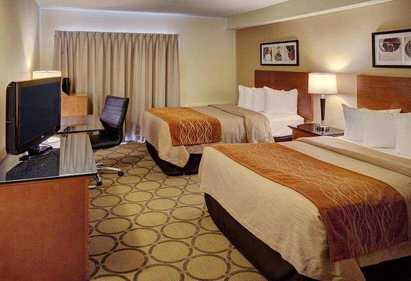 带2个双人床的标准工作室, Comfort Inn