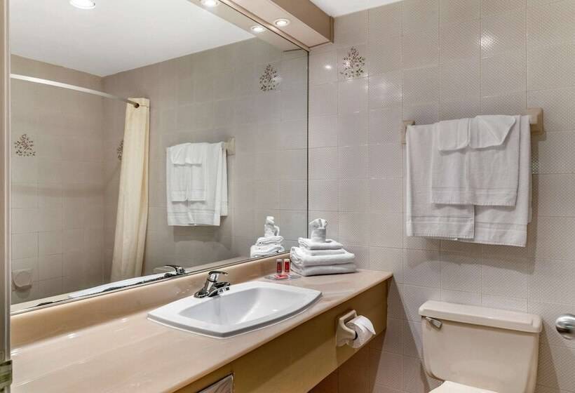 ２ダブルベッドのスタンダードルーム, Econo Lodge