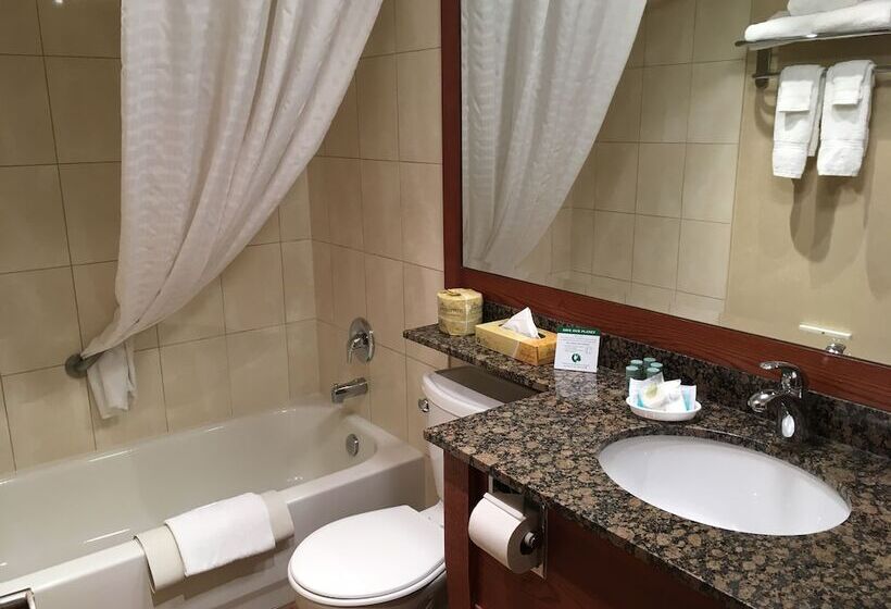 Люкс, Best Western Voyageur Place