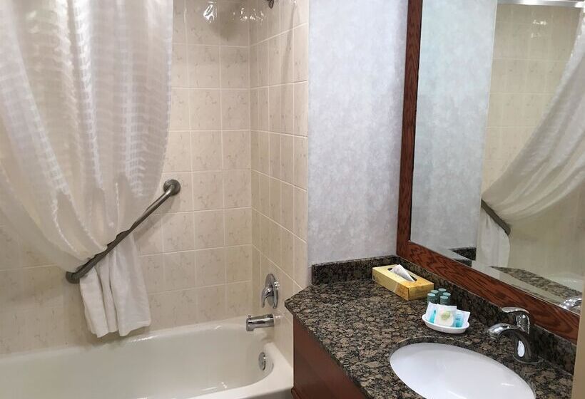 Люкс, Best Western Voyageur Place