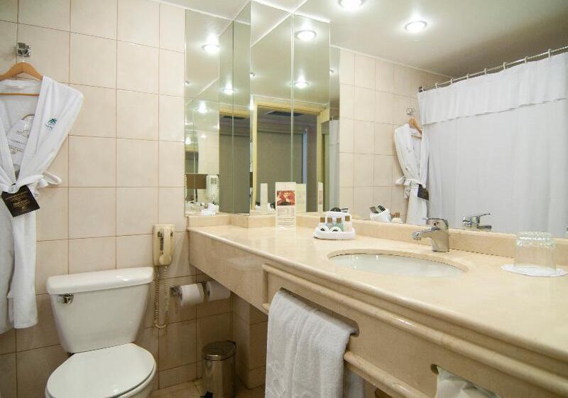 اتاق استاندارد, Park Plaza Santiago