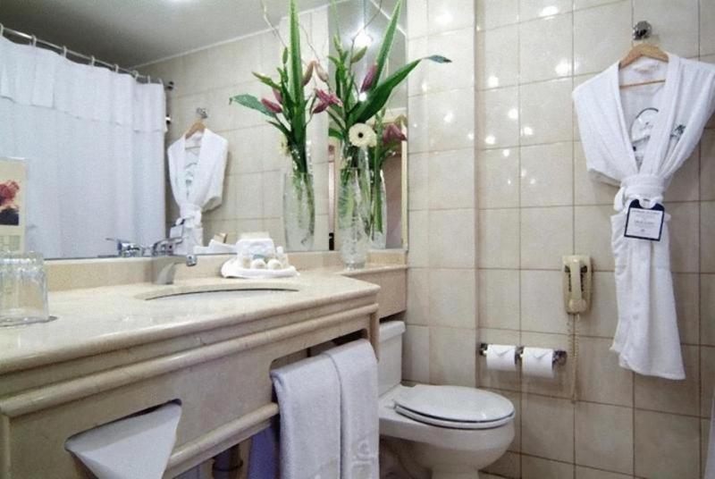 اتاق استاندارد یک نفره, Park Plaza Santiago