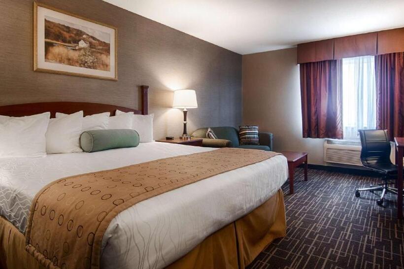 스탠다드 룸, Best Western Airport Inn