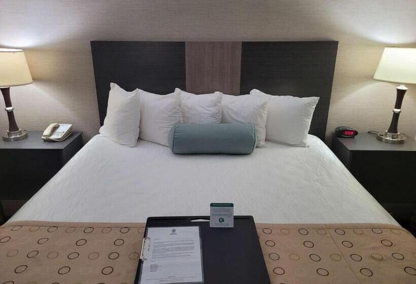 스탠다드 룸 킹사이즈 침대, Best Western Airport Inn