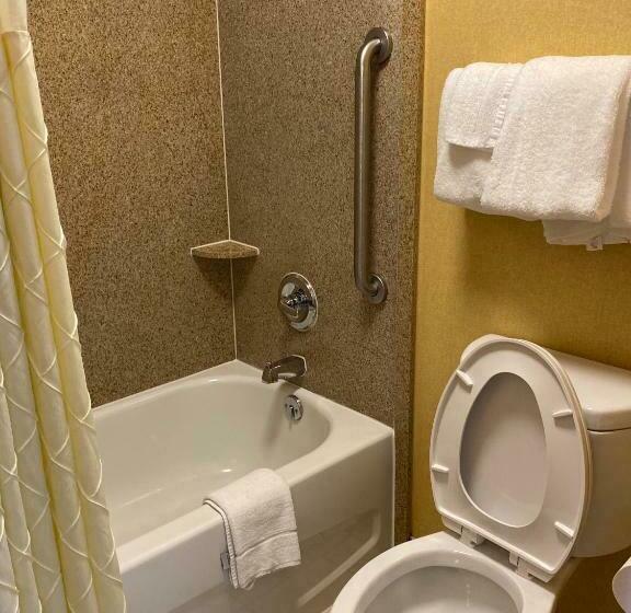 Номер Стандарт 2 Двуспальные Кровати, Deluxe Inn   Fayetteville I 95