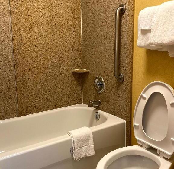 Стандартный Номер Кровать Кинг, Deluxe Inn   Fayetteville I 95