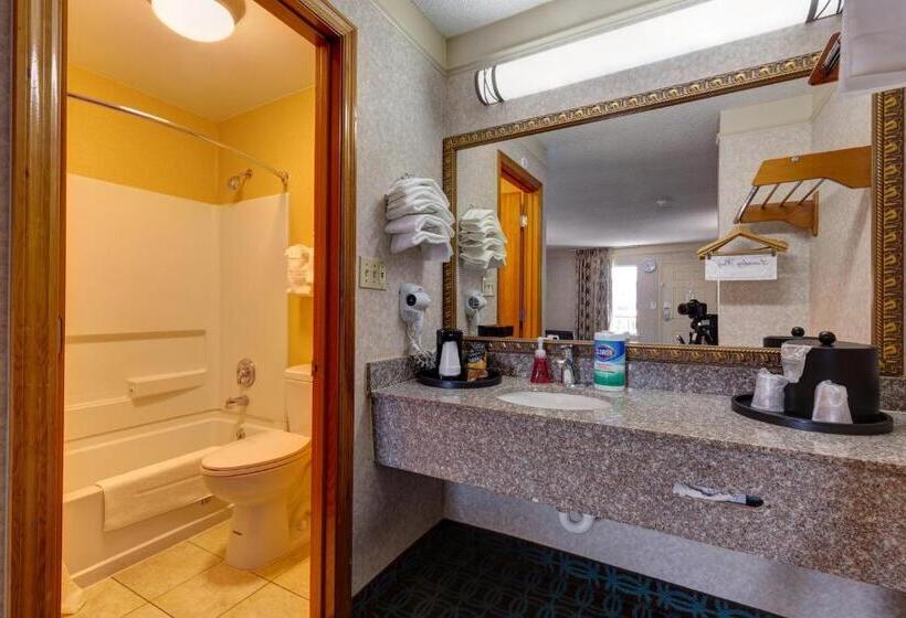 Номер Стандарт, Deluxe Inn   Fayetteville I 95