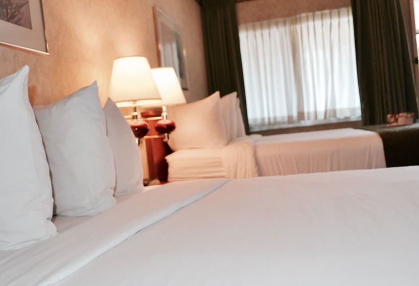 스탠다드 룸 더블 침대 2개, Quality Inn & Suites Silicon Valley