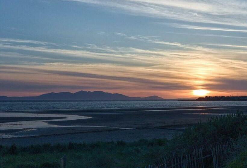 Номер Стандарт, The Anchorage