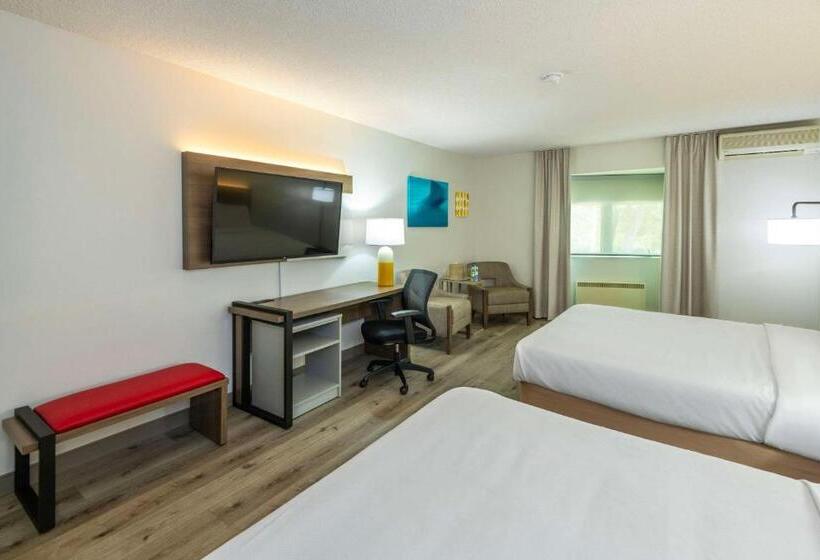 Номер бизнес-класса, Comfort Inn  Mont Laurier