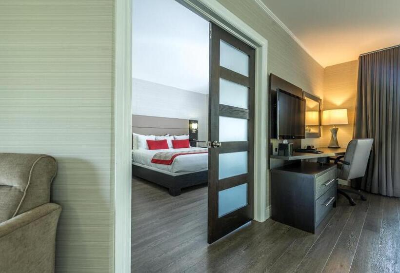 סטודיו סטנדרט, מיטה זוגית, Ramada By Wyndham Ottawa On The Rideau