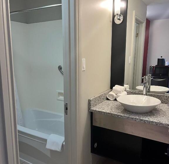 Номер Стандарт 2 Двуспальные Кровати, Ramada By Wyndham Ottawa On The Rideau