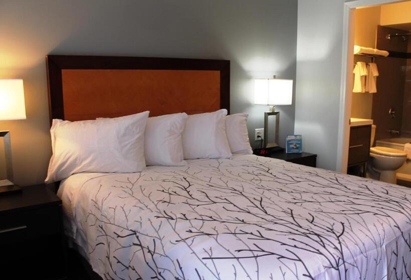 스탠다드 룸 퀸사이즈 침대, Westridge Motor Inn