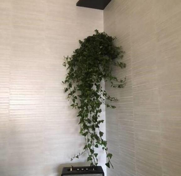 سوییت جونیور, Cannes Centre Univers