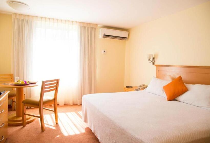 キングサイズベッドのスタンダードルーム, Araiza Palmira Hotel Y Centro De Convenciones