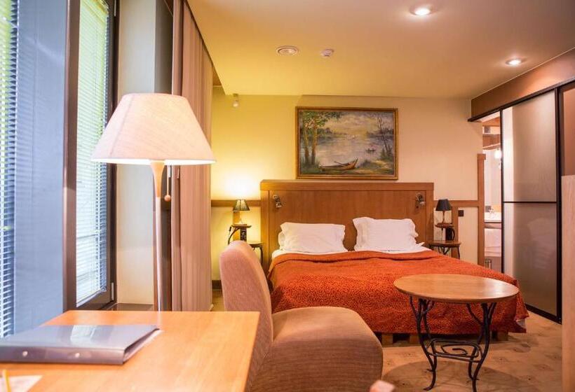 اتاق استاندارد با تخت بزرگ, Best Western Santakos