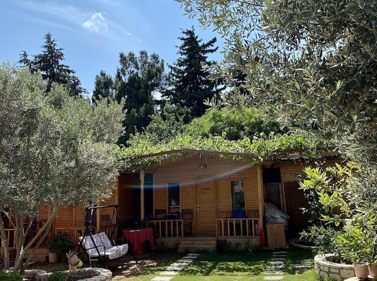 بانگلوی لوکس, Cilek Butik Otel